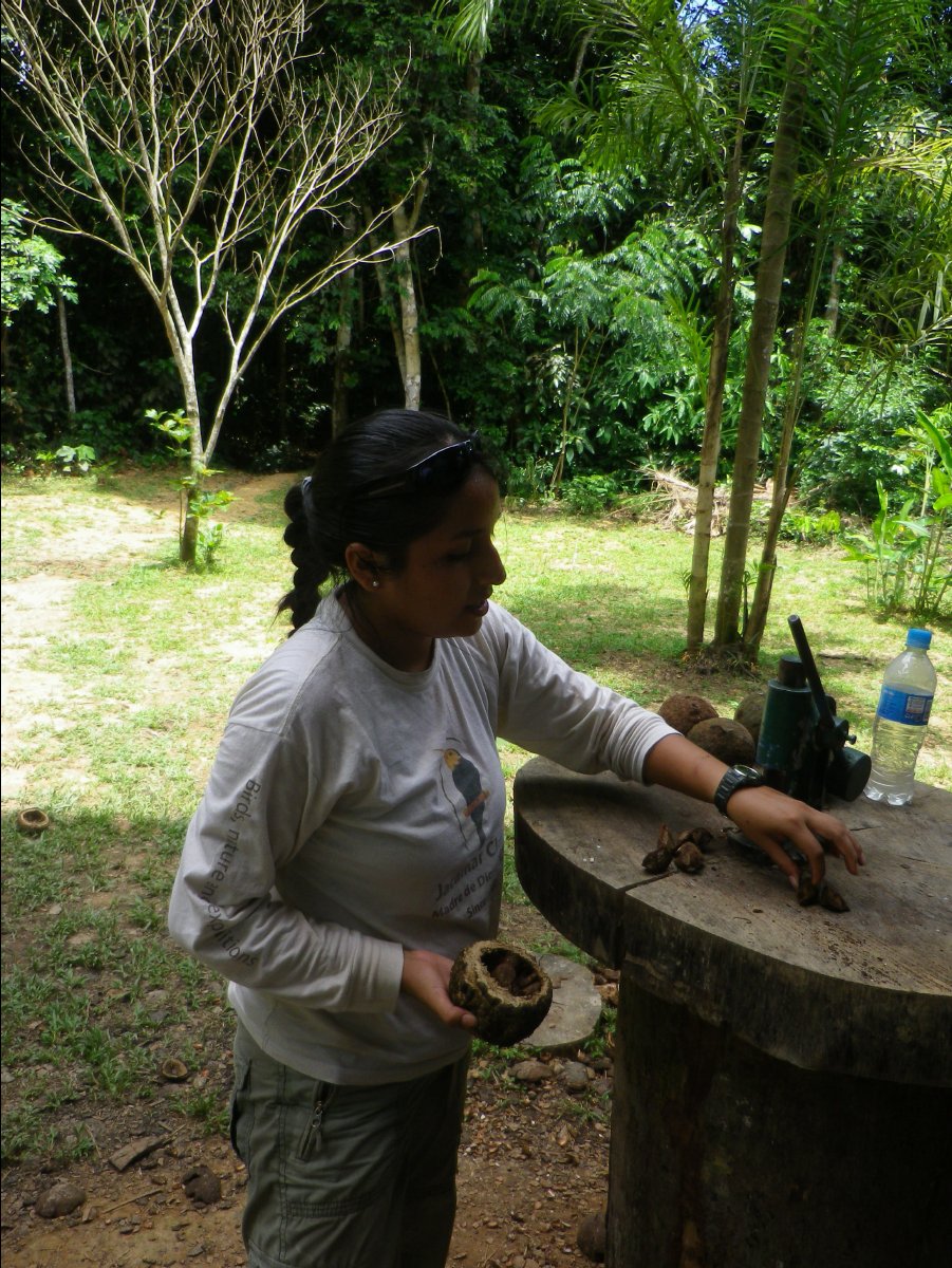 Brazilian Nuts10